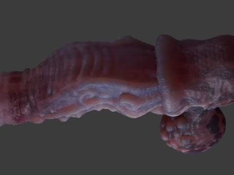 Jugran with balls Penis Sextoy Rigged 3D Model