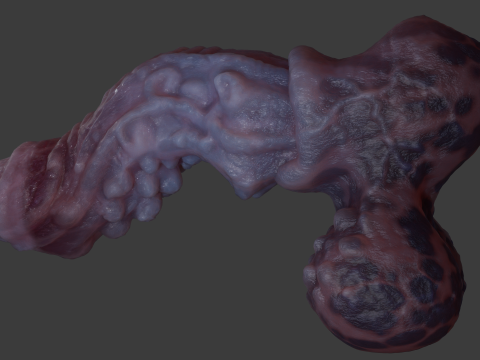 Jugran with balls Penis Sextoy Rigged 3D Model
