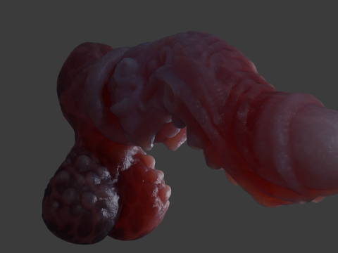 Jugran with balls Penis Sextoy Rigged 3D Model