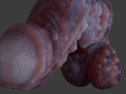 Jugran with balls Penis Sextoy Rigged 3D Model