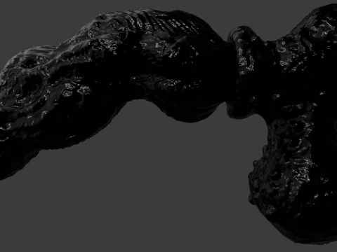 Symbiotic Penis Sextoy Rigged 3D Model