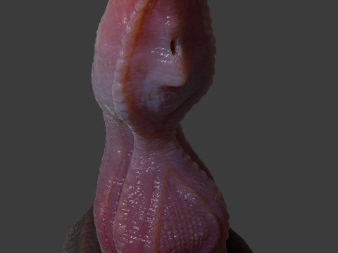 Velociraptor Penis Sextoy Rigged 3D Model