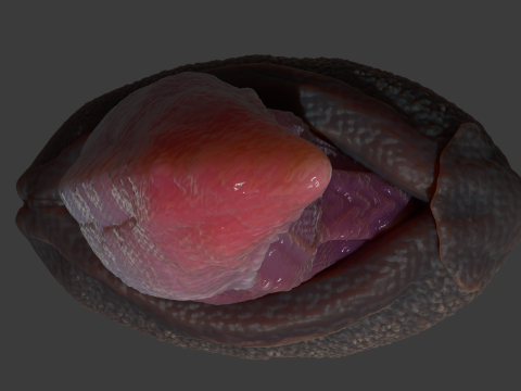 Velociraptor Penis Sextoy Rigged 3D Model