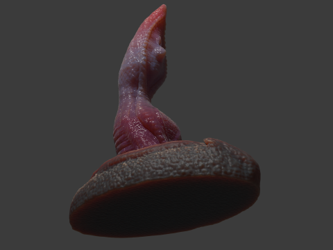 Velociraptor Penis Sextoy Rigged 3D Model