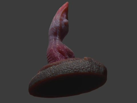 Velociraptor Penis Sextoy Rigged 3D Model