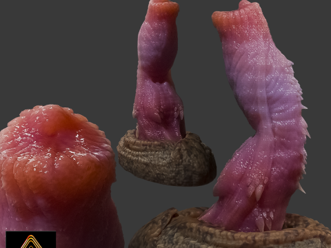 Allosaurus Dinosaur Penis Sextoy Rigged 3D Модель