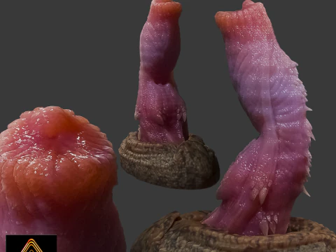 Sextoy de p&ecirc;nis de dinossauro alossauro equipado Modelo 3D
