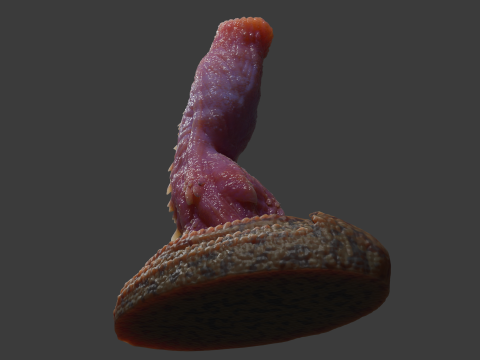 Allosaurus Dinosaur Penis Sextoy Rigged 3D Model