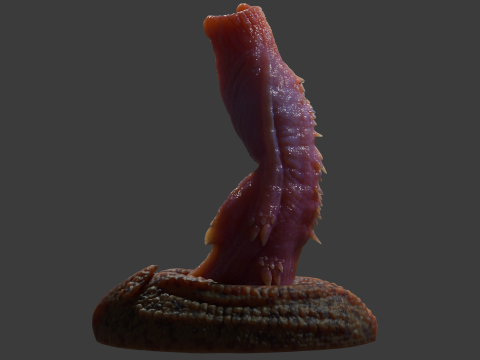 Allosaurus Dinosaur Penis Sextoy Rigged 3D Model