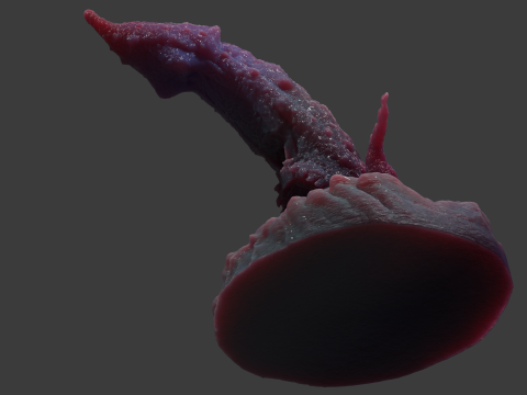 Kogran Fantasy Monster Penis Sextoy Rigged Modelo 3D