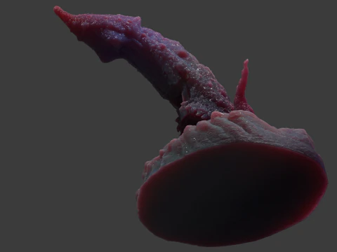 Kogran Fantasy Monster Penis Sextoy Rigged 3D Model