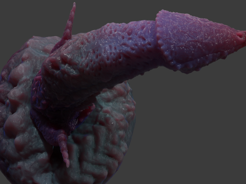 Kogran Fantasy Monster Penis Sextoy Rigged Modelo 3D