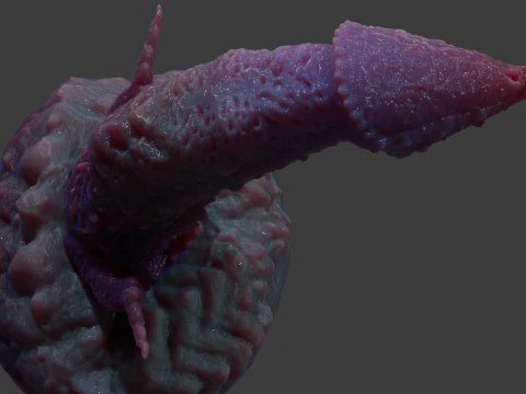 Kogran Fantasy Monster Penis Sextoy Rigged 3D Model