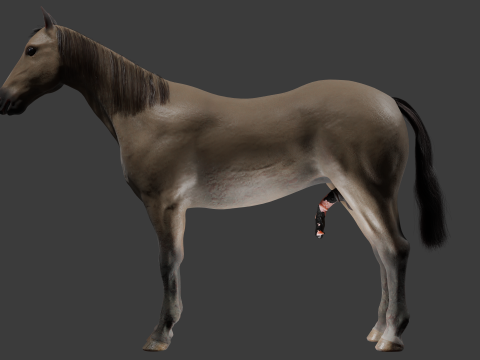 Horse with Penis Rigged 3D Модель