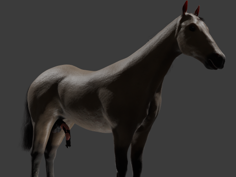 Horse with Penis Rigged 3D Модель