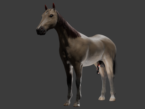 Horse with Penis Rigged 3D Модель