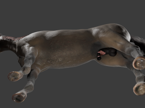 Horse with Penis Rigged 3D Модель