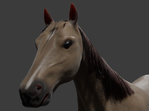 Horse with Penis Rigged 3D Модель
