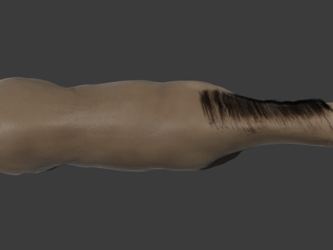 Horse with Penis Rigged 3D Модель