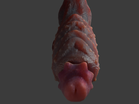 Bulgra Demon Penis Sextoy Rigged 3D-Modell