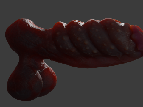 Bulgra Demon Penis Sextoy Rigged 3D-Modell