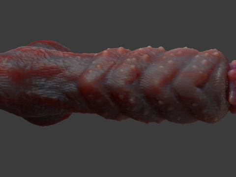 Bulgra Demon Penis Sextoy Rigged 3D-Modell