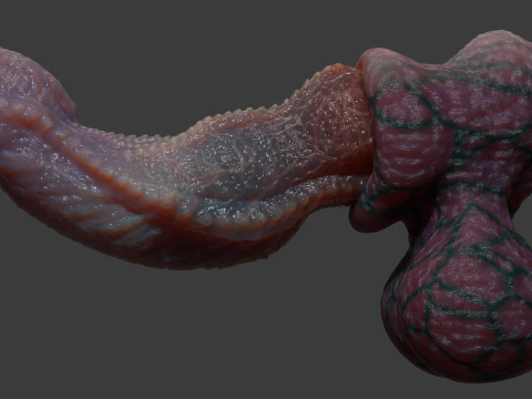 Fantas&iacute;a Drag&oacute;n Pene Kyugon Rigged Modelo 3D