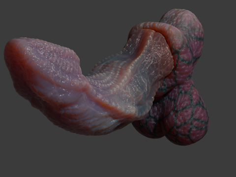Fantasy Dragon Penis Kyugon Rigged 3D Model