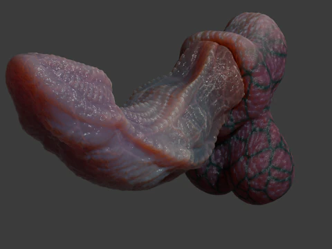 Fantas&iacute;a Drag&oacute;n Pene Kyugon Rigged Modelo 3D