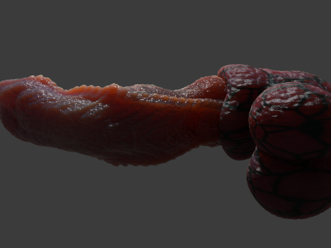 Fantasy Dragon Penis Kyugon Rigged 3D Model