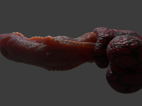 Fantas&iacute;a Drag&oacute;n Pene Kyugon Rigged Modelo 3D