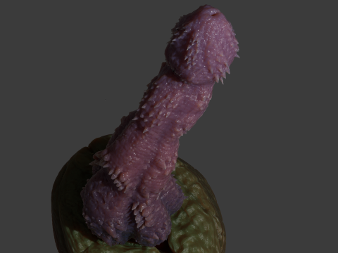 Fantasy Jormundgander Penis Sextoy Rigged 3D Model