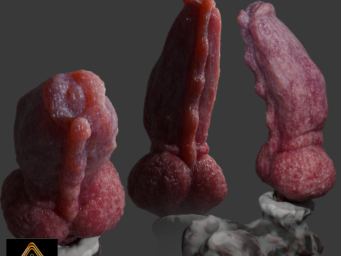 Krugish Monster Dog Penis Sextoy Rigged 3D Model