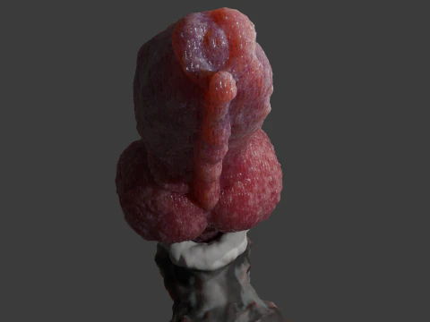 Krugish Monster Dog P&ecirc;nis Sextoy Rigged Modelo 3D