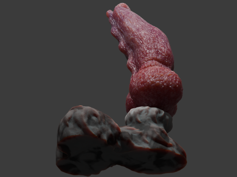 Krugish Monster Dog Penis Sextoy Rigged Modelo 3D
