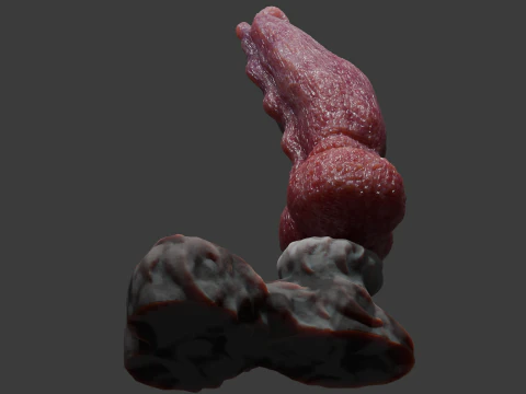 Krugish Monster Dog P&ecirc;nis Sextoy Rigged Modelo 3D