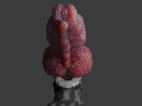 Krugish Monster Dog Penis Sextoy Rigged Modelo 3D
