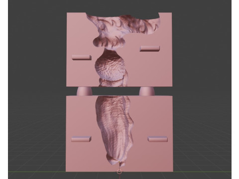 Print Ready Krugish Monster Dog Penis Sextoy Mold 3D-Modell