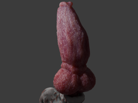 Print Ready Krugish Monster Dog Penis Sextoy Mold 3D-Modell