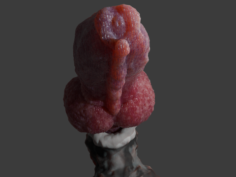 Print Ready Krugish Monster Dog Penis Sextoy Mold 3D-Modell