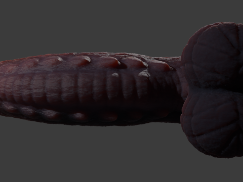 Frillorazx Dragon Penis Sextoy Rigged Model 3D