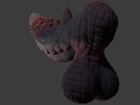 Frillorazx Dragon Penis Sextoy Rigged Model 3D