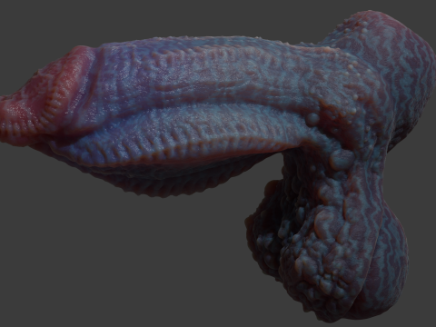 Gondronn Alien Penis Sextoy Rigged 3D Модель