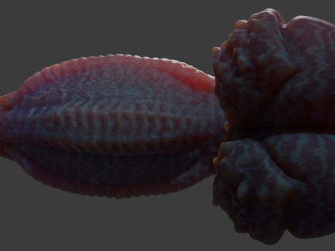 Gondronn Alien Penis Sextoy Rigged 3D Модель