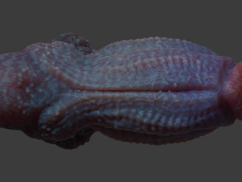 Gondronn Alien Penis Sextoy Rigged 3D Модель