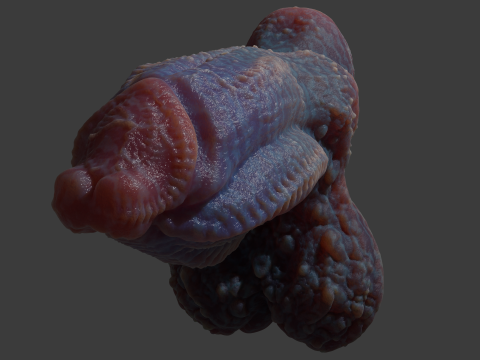 Gondronn Alien Penis Sextoy Rigged 3D Модель