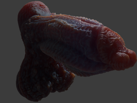 Gondronn Alien Penis Sextoy Rigged 3D Модель