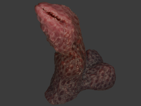 Fantasy Grumgirax Demon Penis Sextoy Rigged 3D Model