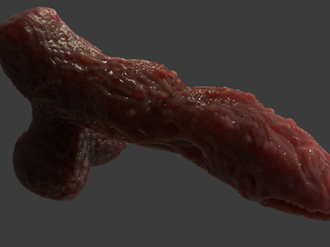 Fantasy Grumgirax Demon Penis Sextoy Rigged 3D Model