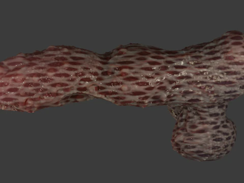 Fantasy Grumgirax Demon Penis Sextoy Rigged 3D Model